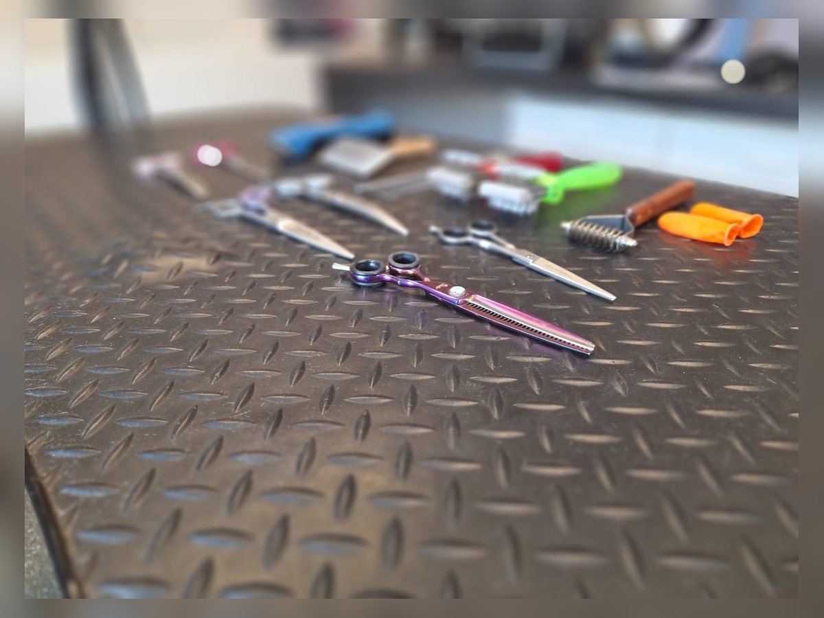 Professioneel trimgereedschap